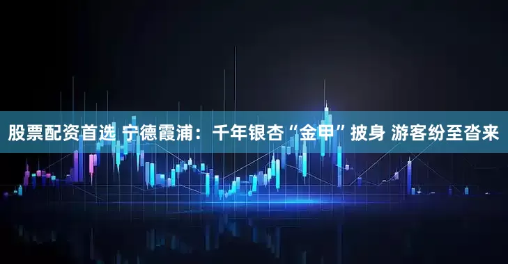 股票配资首选 宁德霞浦：千年银杏“金甲”披身 游客纷至沓来