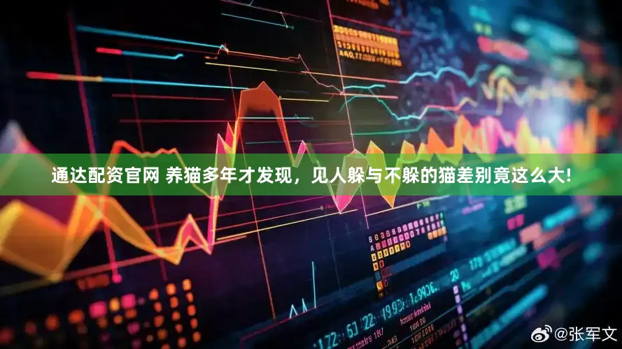 通达配资官网 养猫多年才发现，见人躲与不躲的猫差别竟这么大!