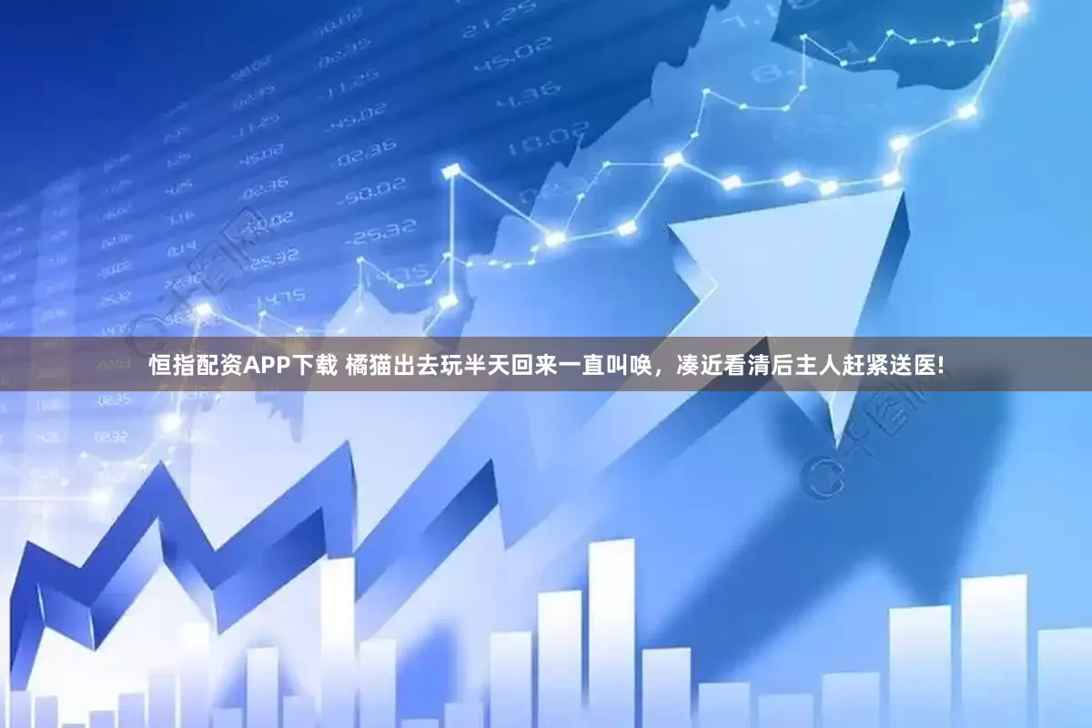 恒指配资APP下载 橘猫出去玩半天回来一直叫唤，凑近看清后主人赶紧送医!